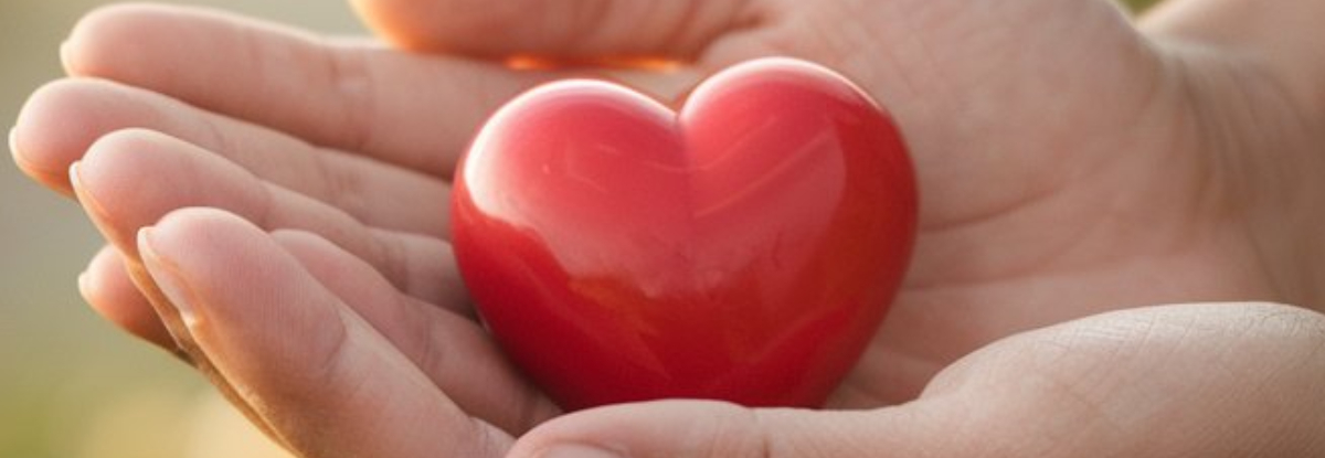 Donazioni da busta paga